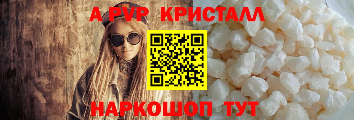 Alfa_PVP СК КРИС Зерноград