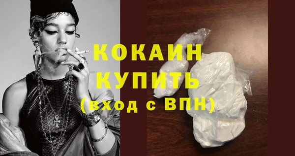 крисы Новодвинск