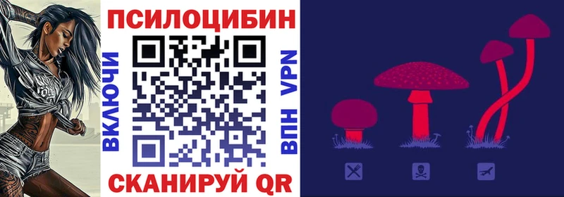 Галлюциногенные грибы Psilocybe  Зерноград 